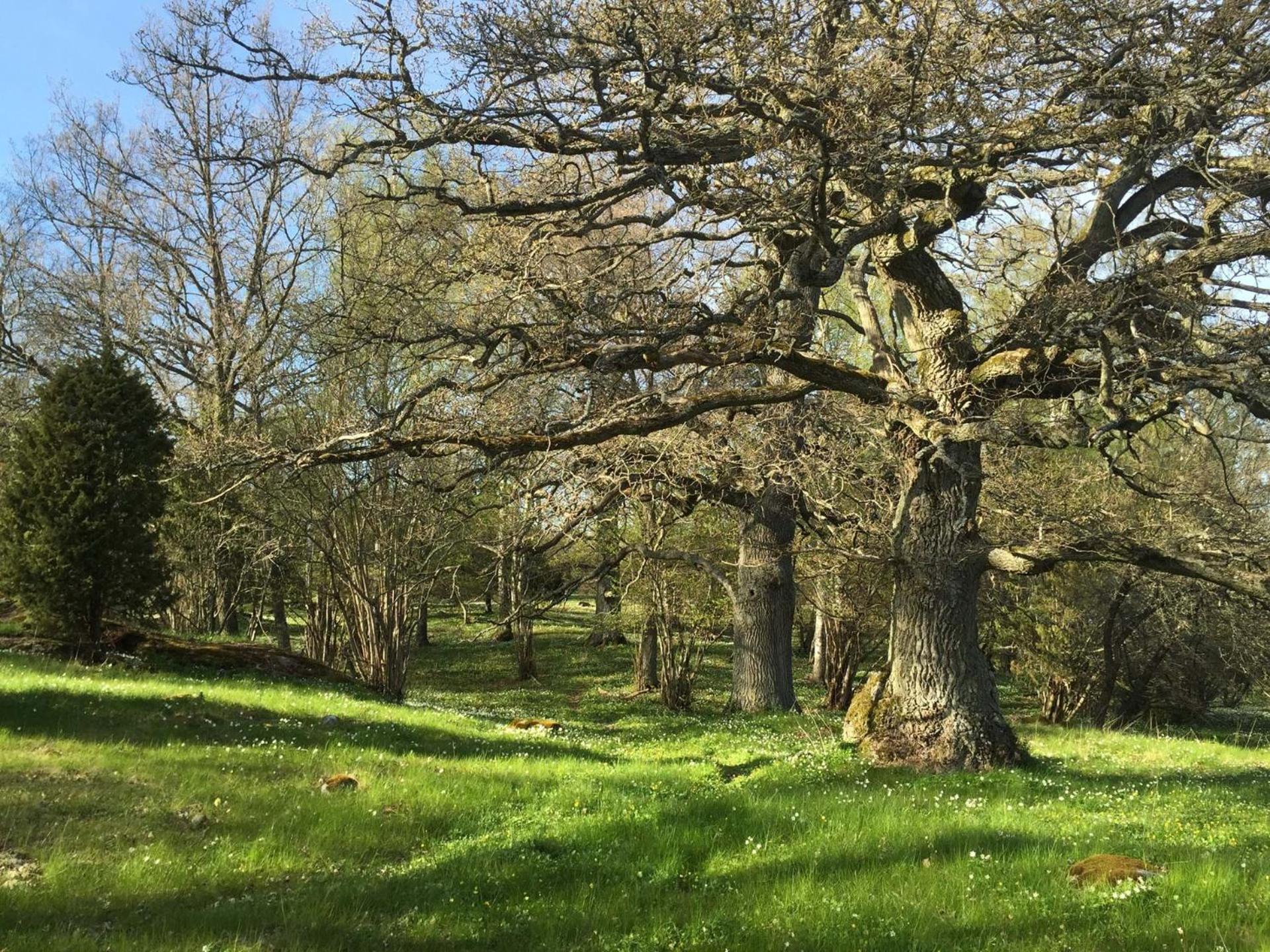 Bogesund Slottsvandrarhem Ostello Vaxholm Esterno foto